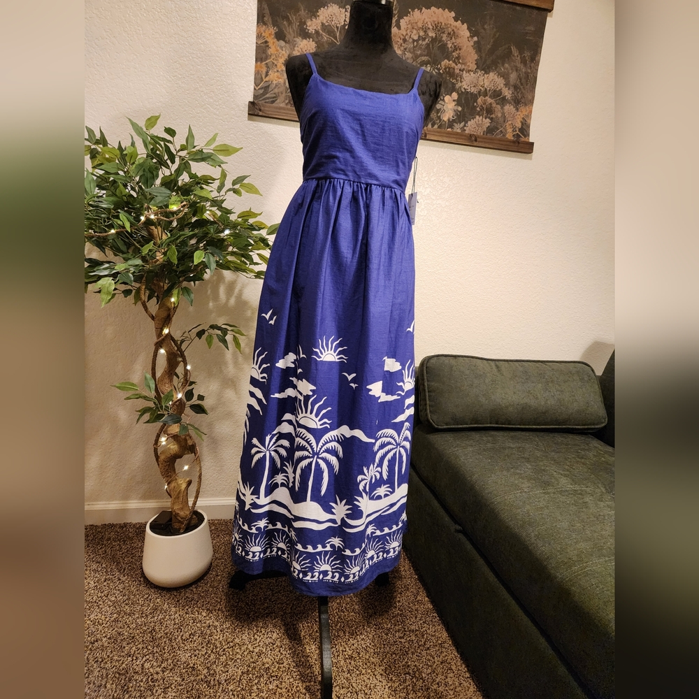 Japna Blue and White Maxi Dress